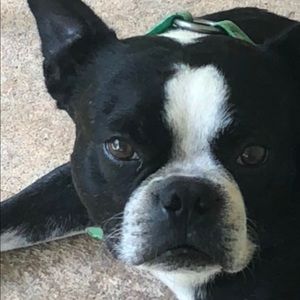 Meet your Posher, Anna